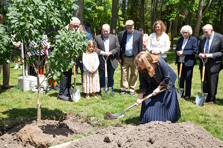 Toby Rosenthal shovels dirt onto a sapling planted in a Stockton courtyard