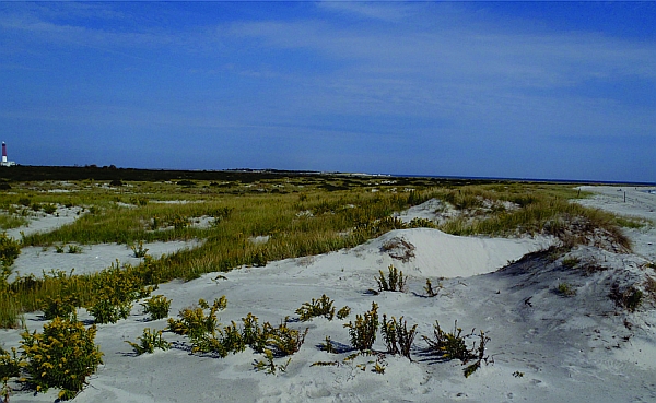 2010