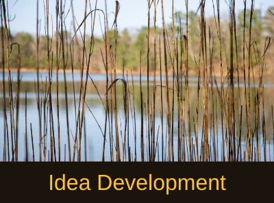 Idea Development Idea Development