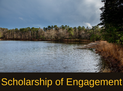 Scholarship of Engagement link Scholarship of Engagement link