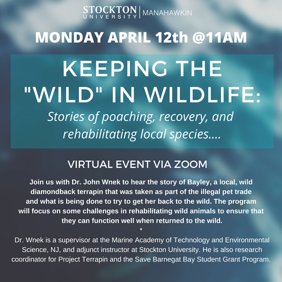 wildlife flyer wildlife flyer