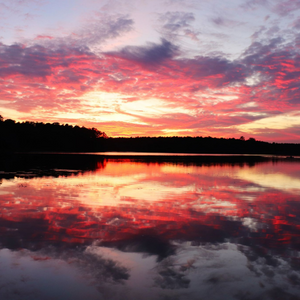 Lake Fred