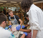 Students in lab goggles and gloves working with scientific equipment.