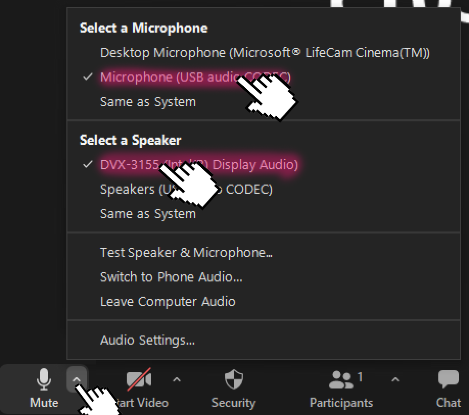 Zoom audio menu showing Microphone USB Audio CODEC and DVX-3155 speaker selections