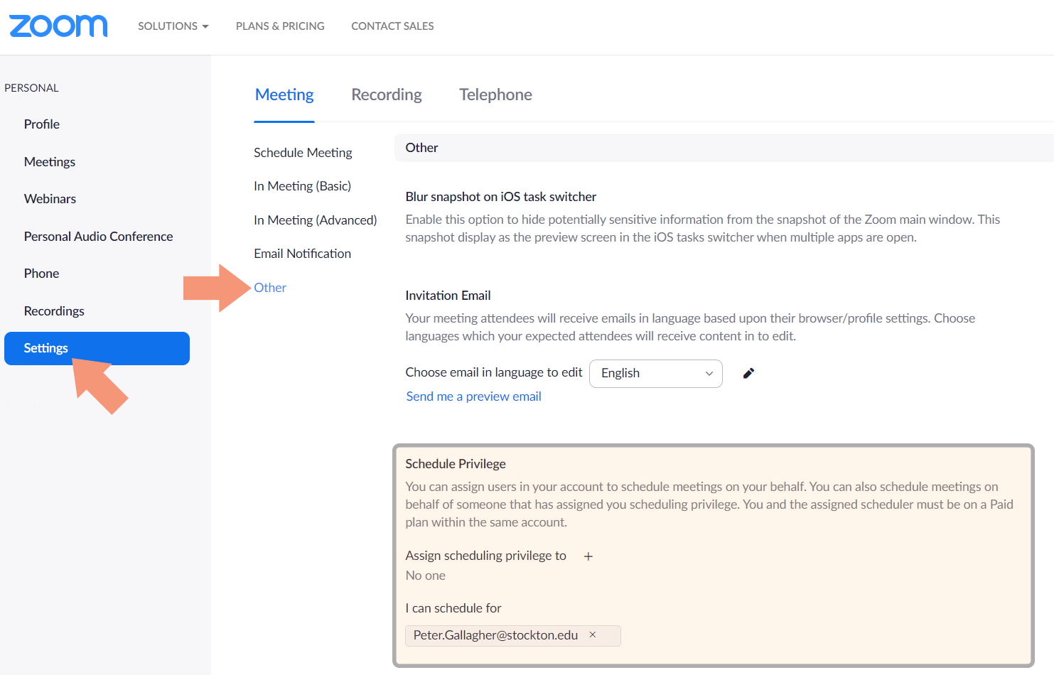 A screenshot of the zoom settings page