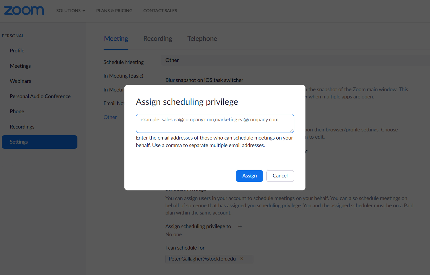 a screenshot of the zoom "assign scheduling privileges" screen.