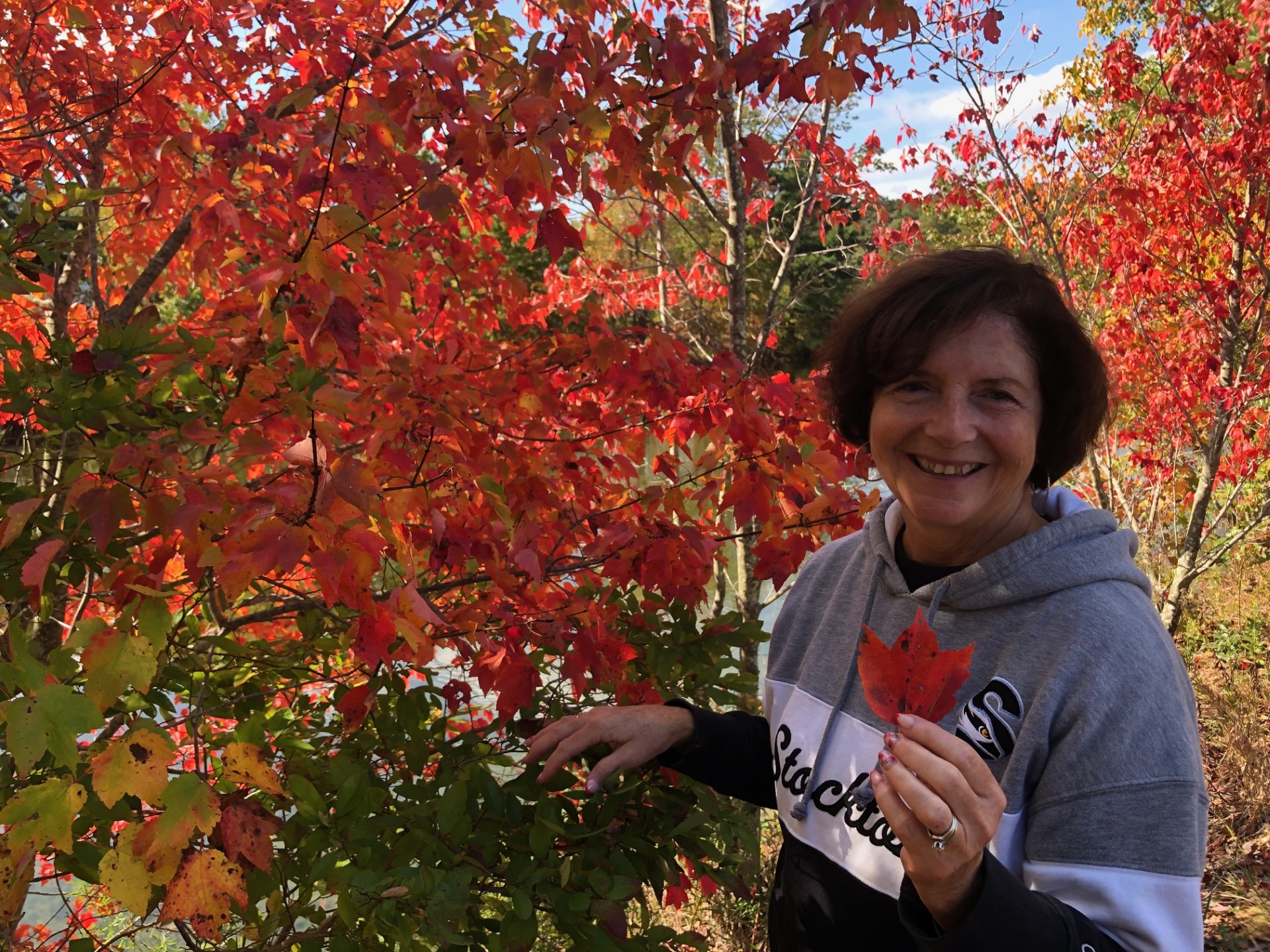 Debby Red Leaves