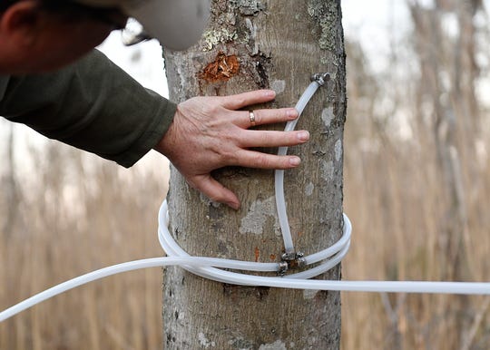 Hand on tap