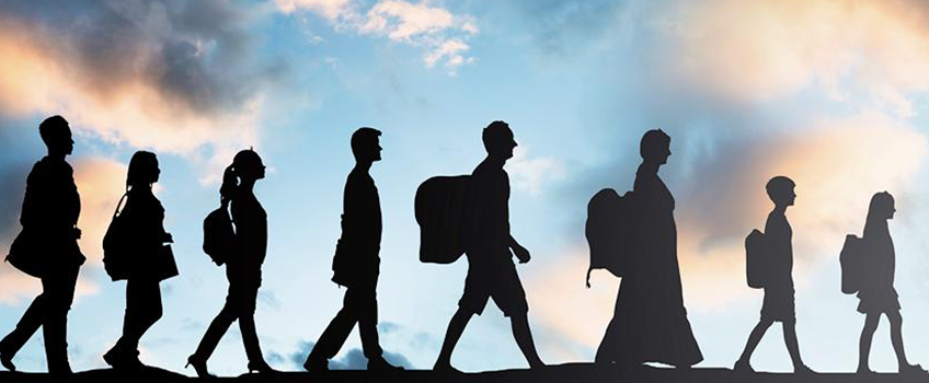 migration