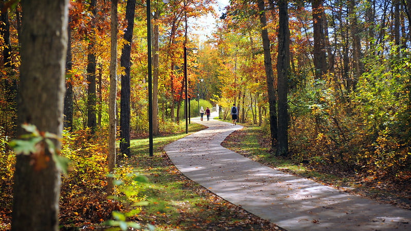 Stockton in the Fall