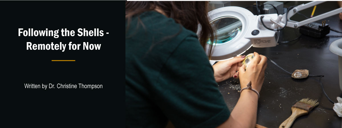 Image of student looking at shell