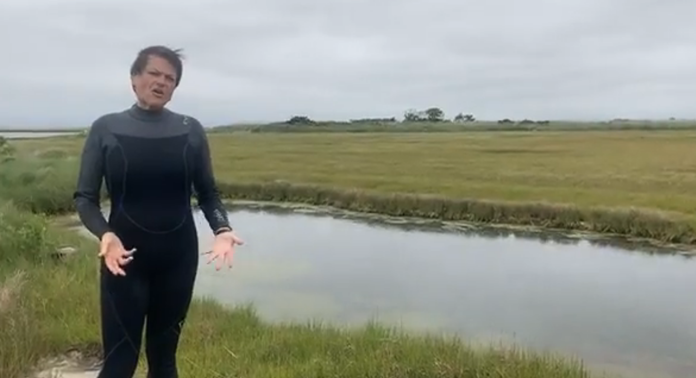 Image of Elizabeth Lacey livestream from the field.