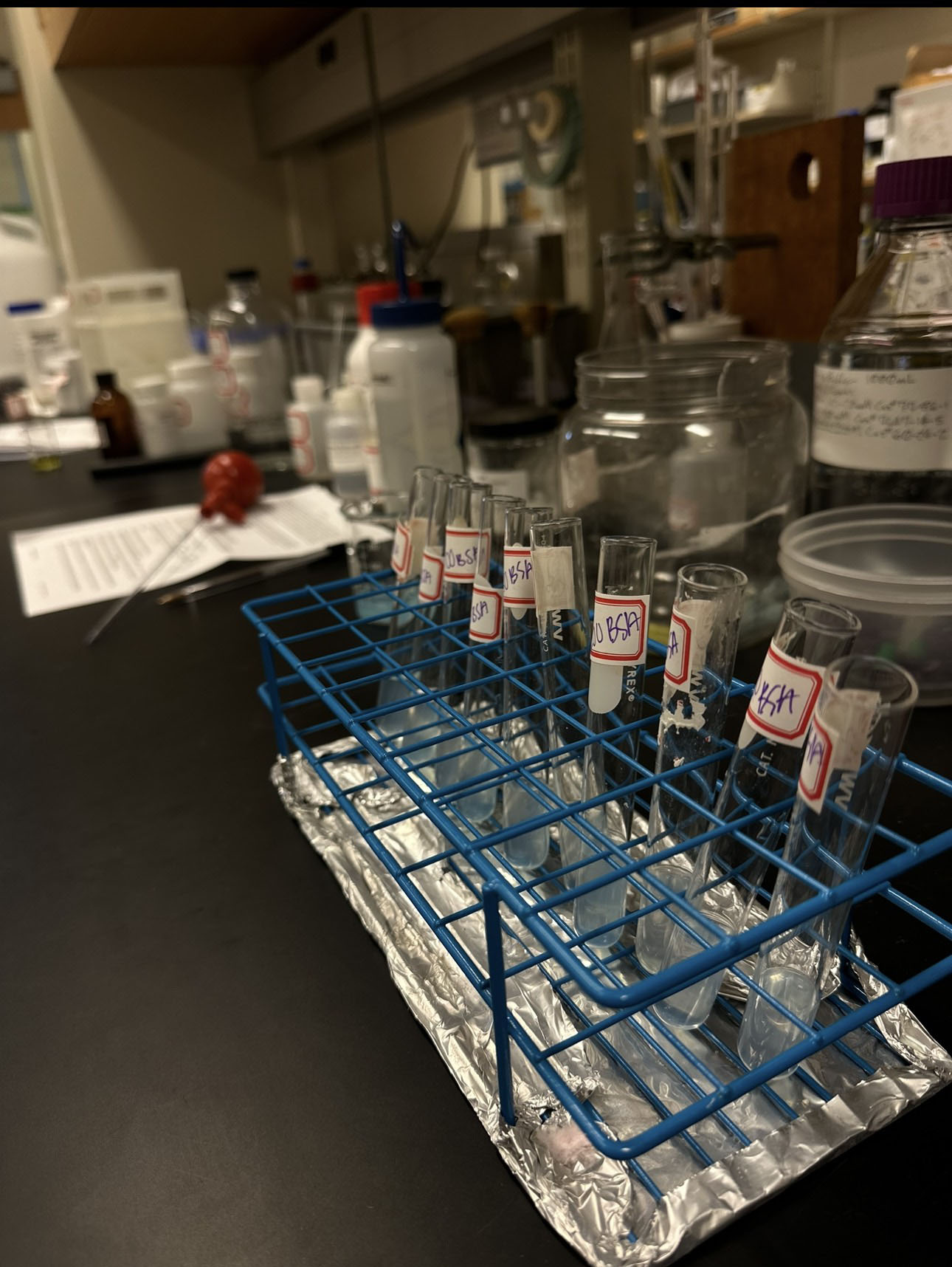 Test tubes in rack