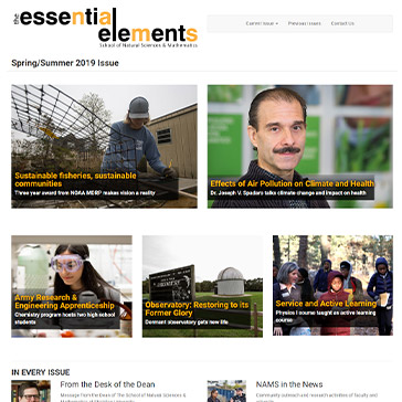 Nams E-zine Spring / Summer 2019 Screen Shot