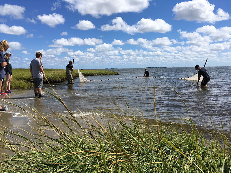 eDNA students seining