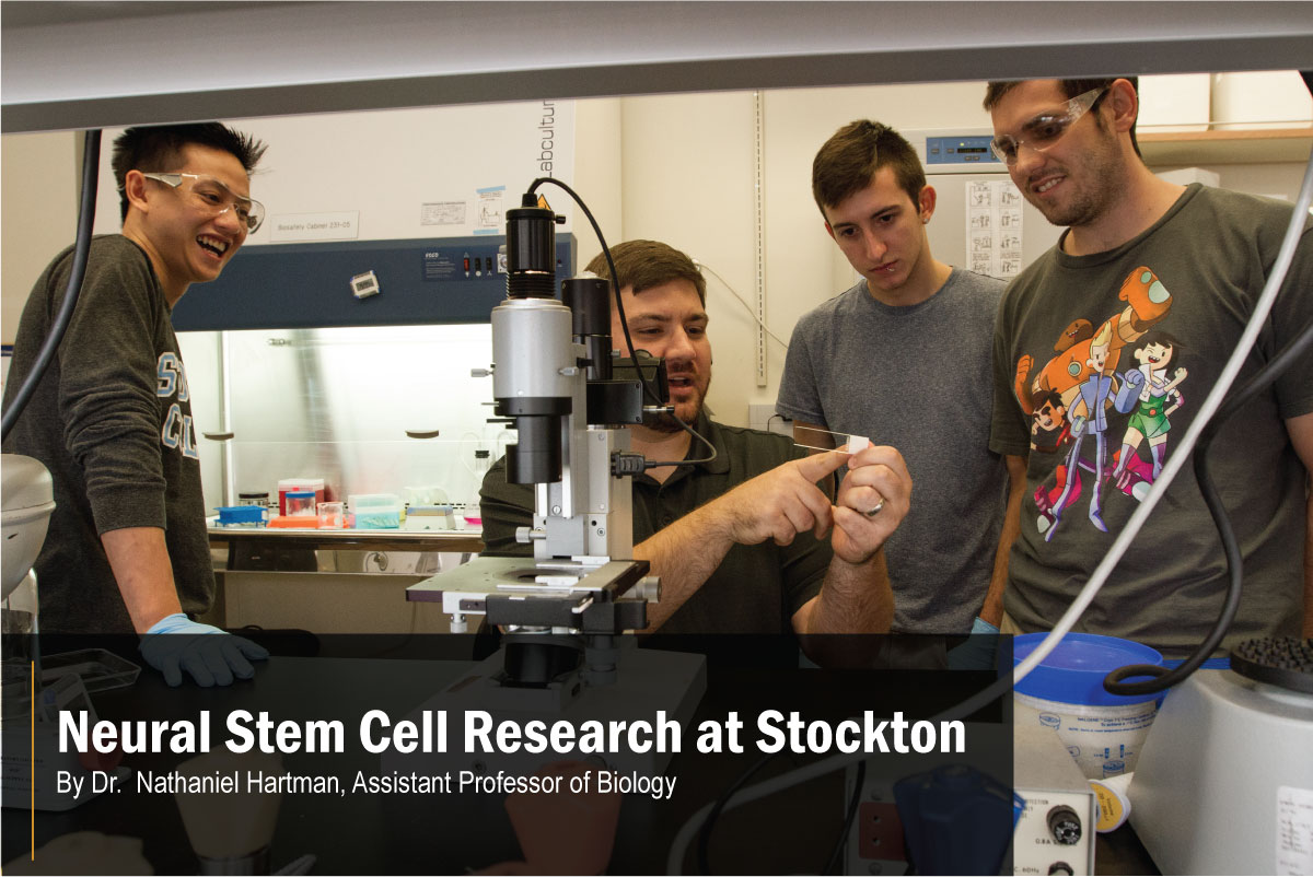 Image of Stockton University