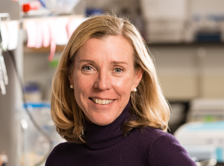 Dr. Amanda Norvell