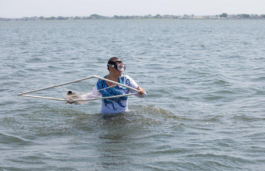 Marine science professor in the field