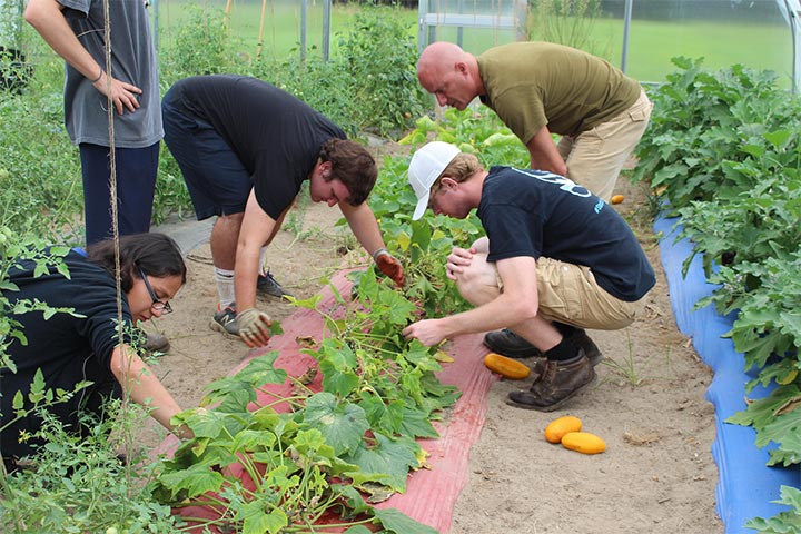 Students learning on the Stockton Farm
