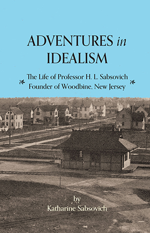 Cover Adventures in Idealism