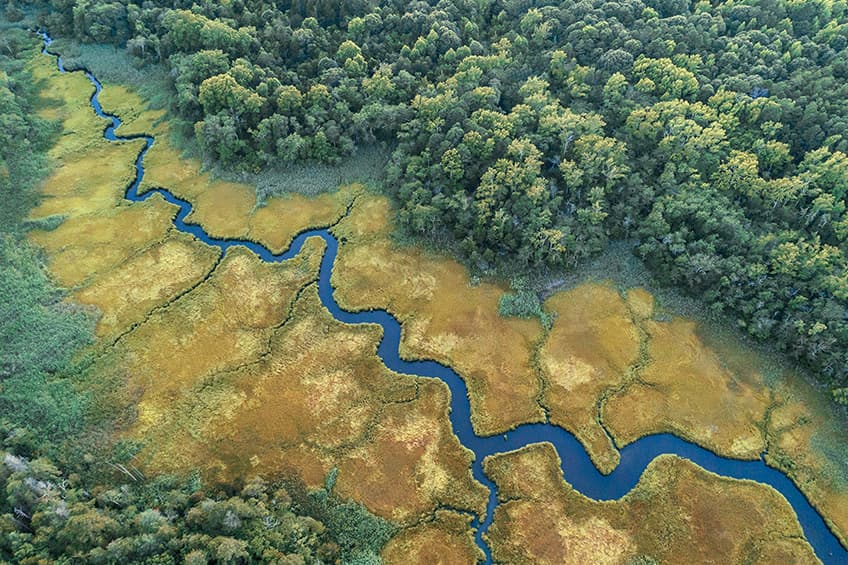 Aerial view of a river winding through wetlands.