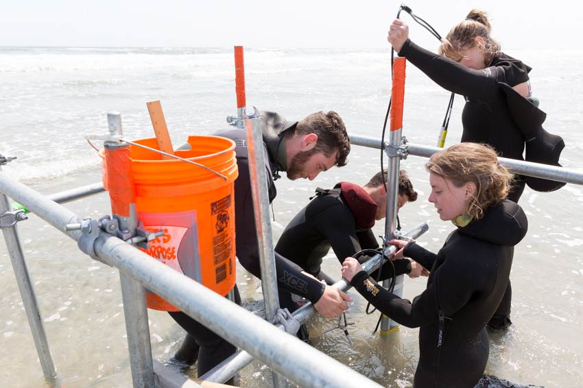 men and women working on ocean equipment in surf