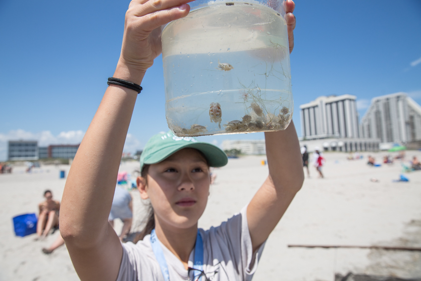 girl holding jar of water with sand crabs in it