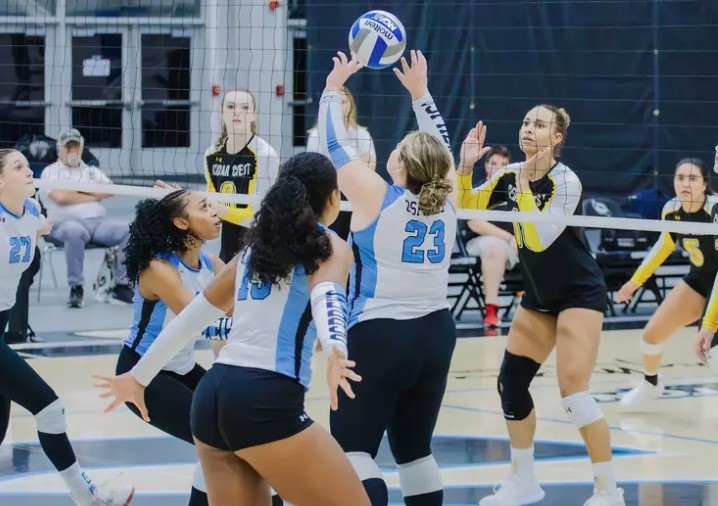 volleyball team