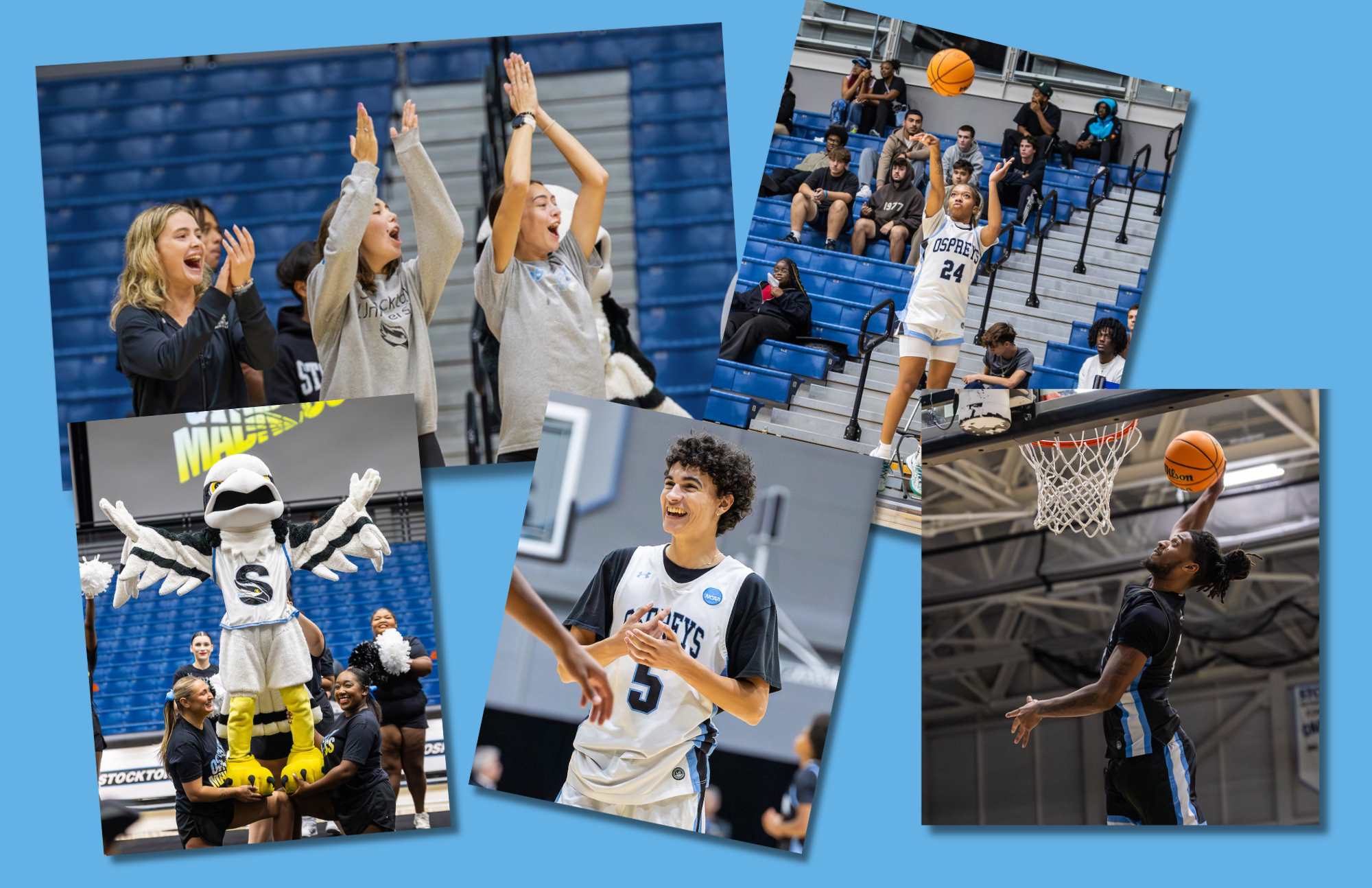 Osprey Madness graphic with photos from the night