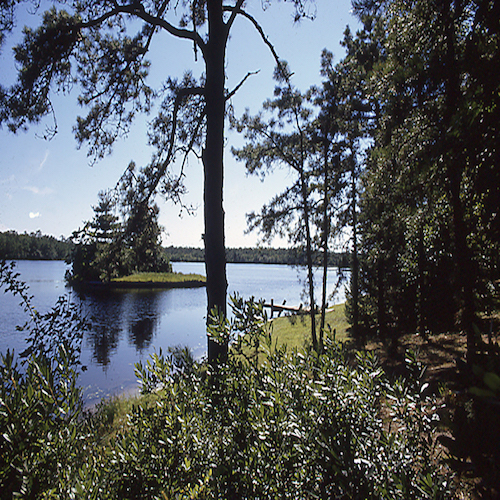 Lake Fred