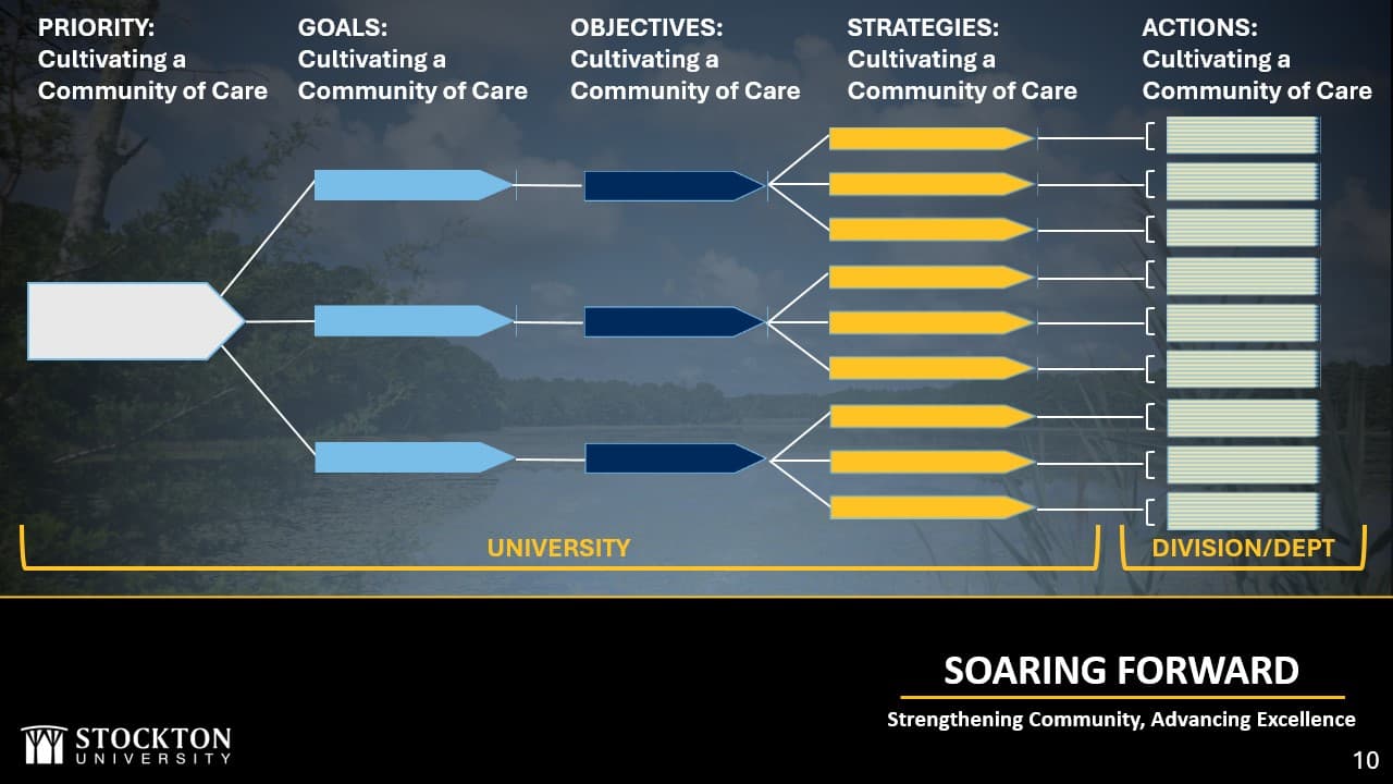 Horizontal flow chart showing how a priority is broken down into goals, which flow into objectives, then strategies and actions